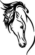 Indiana Equine Foundation